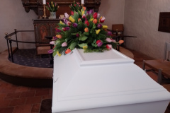 pyntet-kirste-tulipan